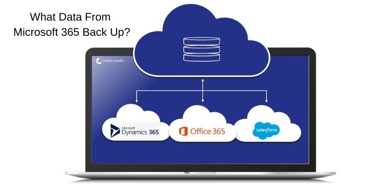 What Data From Microsoft 365 Back Up?
