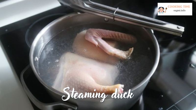 steam duck