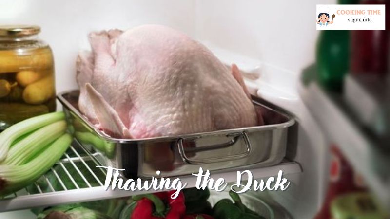 Thawing the Duck